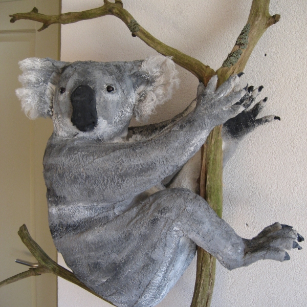 Koala 3.jpg