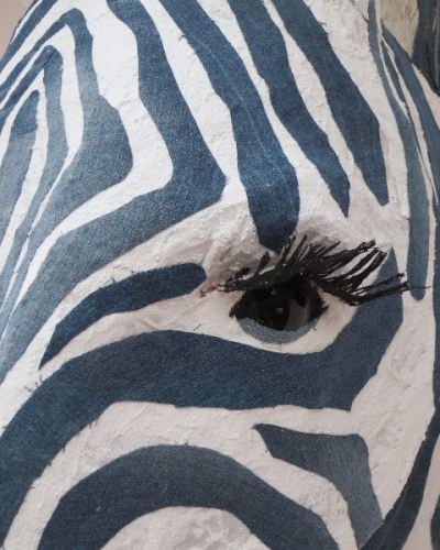 zebra 4.JPG