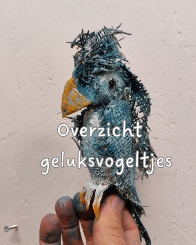 Overzicht geluksvogeltjes canva.jpg