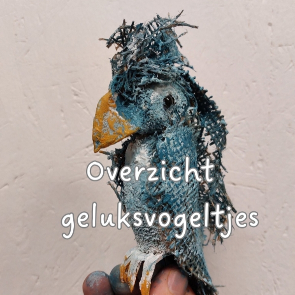 Overzicht geluksvogeltjes canva.jpg