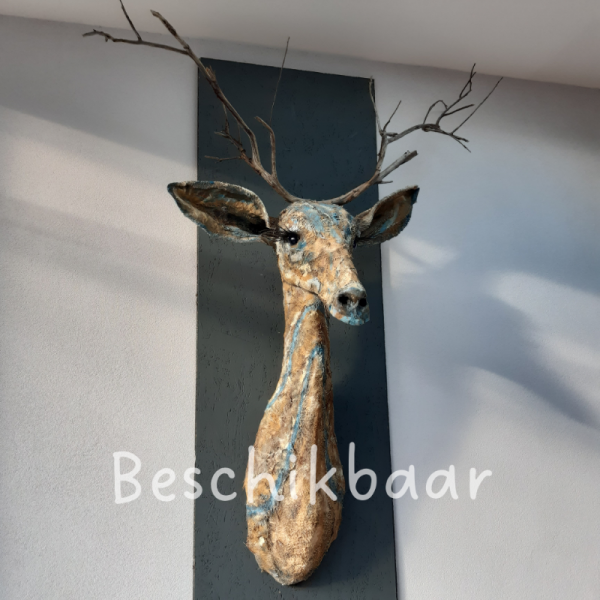 Beschikbaar.png