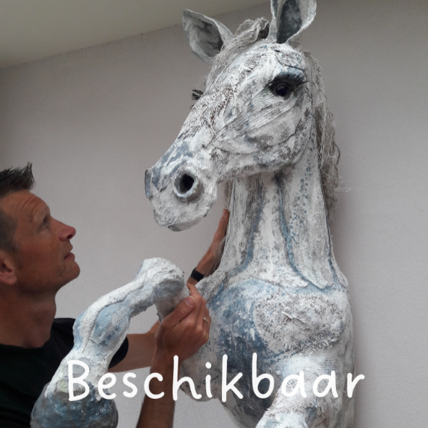 Beschikbaar.png