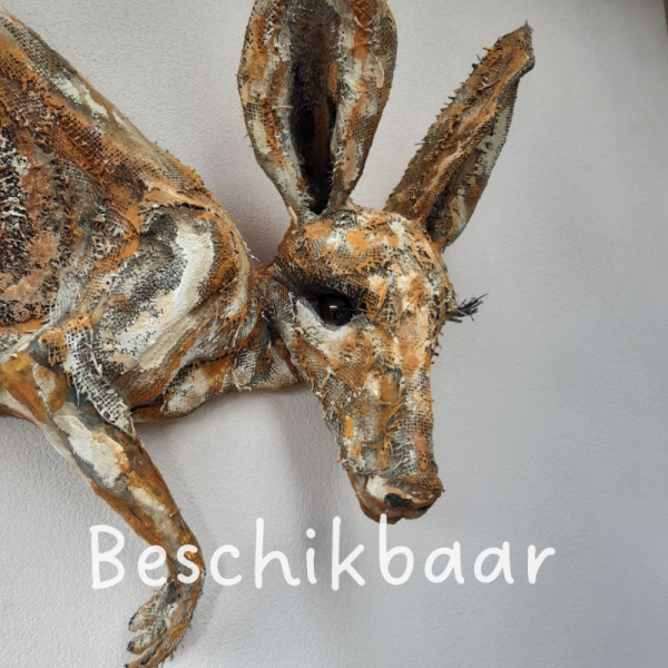 Beschikbaar.png