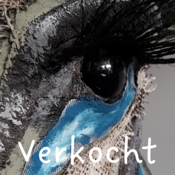 Verkoch2t.png